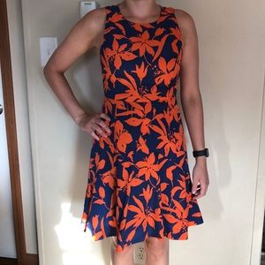 J Crew Dress